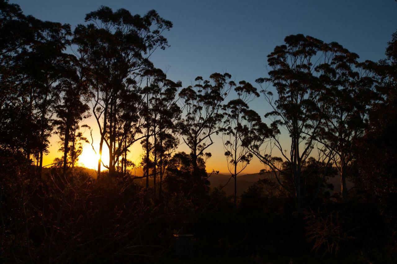 Готель Awesome Glamping Gold Coast Hinterland Advancetown Екстер'єр фото